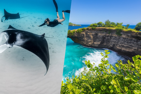 Snorkeling + West Trip Nusa Penida Tour