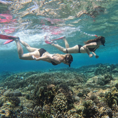 Snorkeling with Manta and Explore Nusa Penida