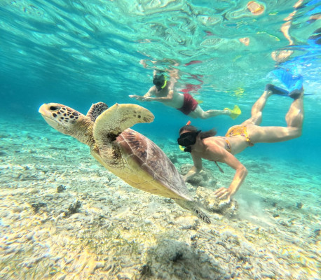 Snorkling