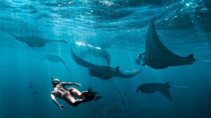 Special Trip Nusa Penida