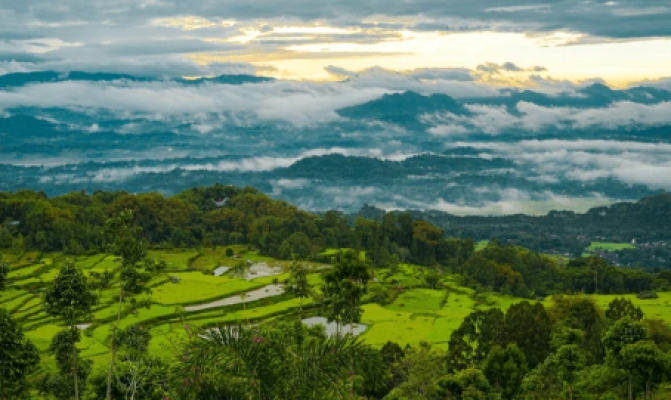 Sulawesi, Toraja 1 Day Tour: Explore Traditional Village and Nature Beauty Landscape