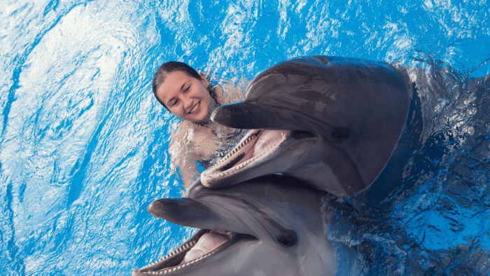 Swim With Dolphin