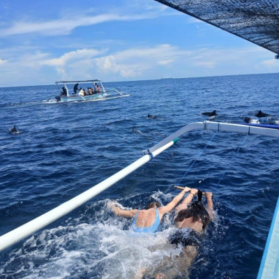 Swim with Dolphin at Lovina Beach