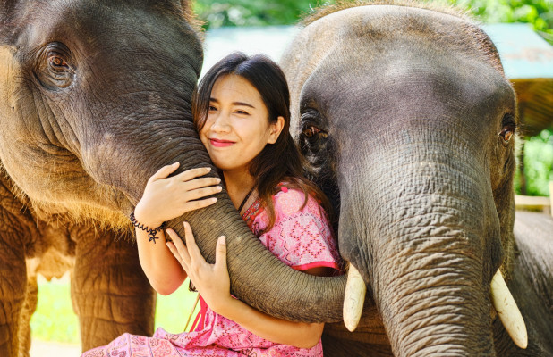 Taro Elephant Sanctuary with Volcano and Jungle Swing
