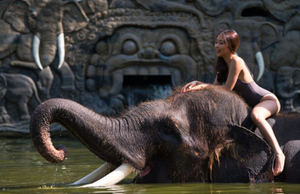 Taro Elephant Wash with Private Transfers