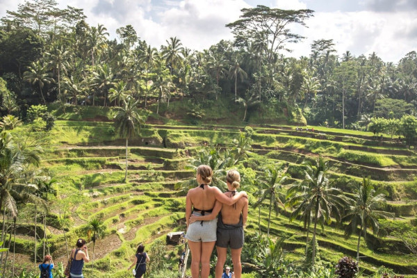 The Best of Ubud Day Tour