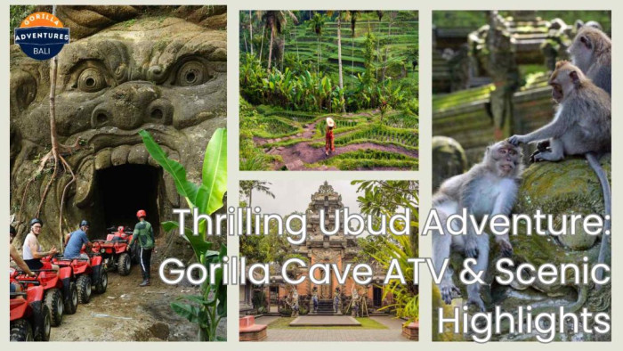 Thrilling Ubud Adventure: Gorilla Cave ATV & Monkey Forest Tegalalang Rice Terraces