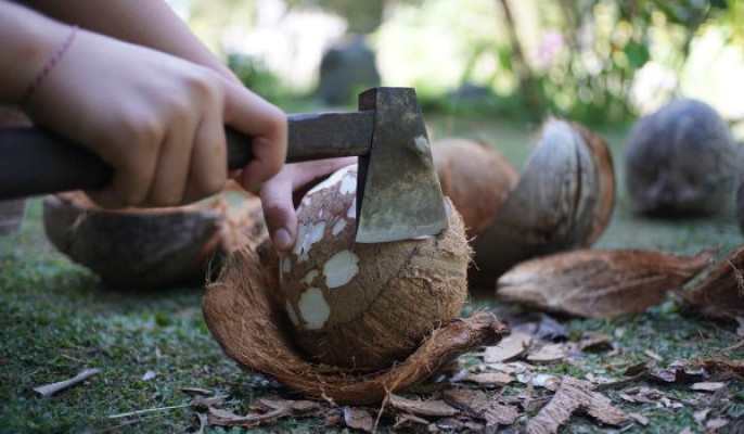 Traditional Coconut Oil Making w/ Market Visit & Cooking Class (07:30)