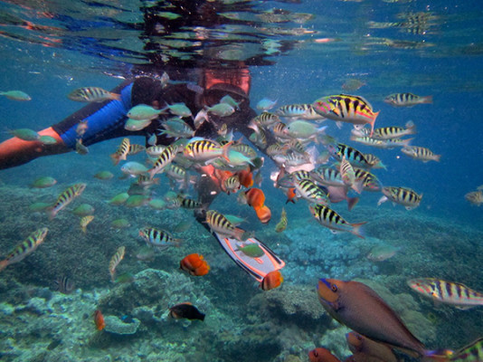 Trip Nusa Lembongan tour island