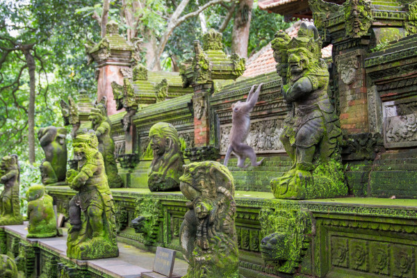 Ubud and Tanah Lot Tour
