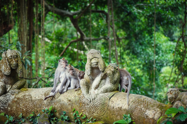 Ubud and Tanah Lot Tour
