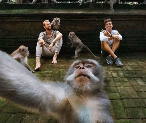 Ubud Authentic Tour