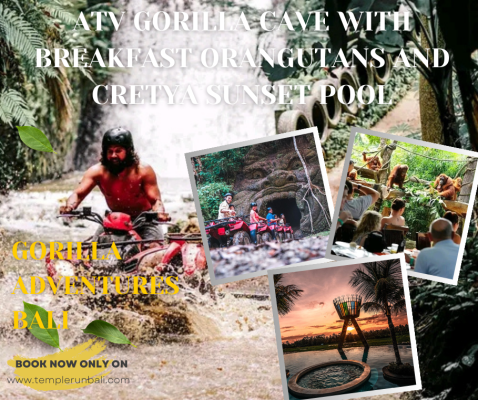 Ubud: Breakfast with Orangutans & Gorilla Cave ATV Ride Tour Packages