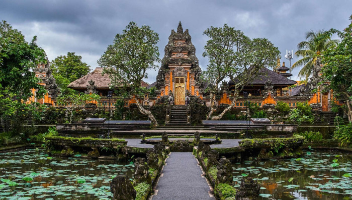 Ubud Central Trip