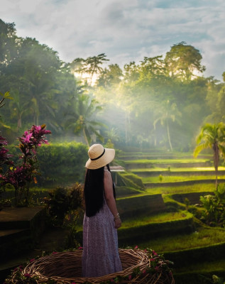 Ubud Culture and Nature Tour – Explore Rice Terraces & Balinese Heritage