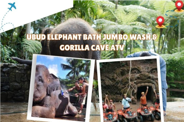 Ubud Elephant Bath Jumbo Wash & Gorilla Cave ATV