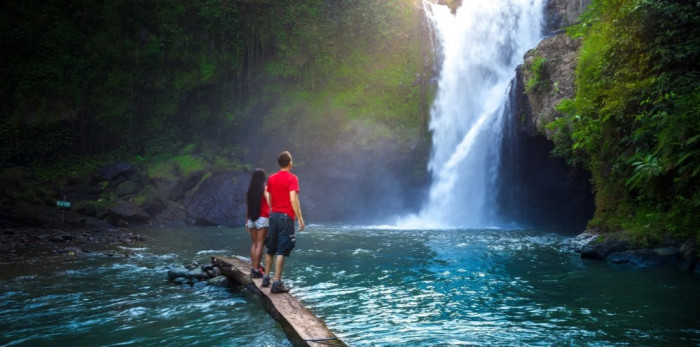 Ubud Full Day Experience with Temples, Rice Terraces, and Swing