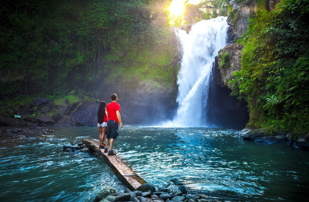 UBUD FULLDAY TOUR