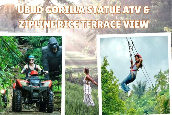 Ubud Gorilla Statue ATV & Zipline Rice Terrace View