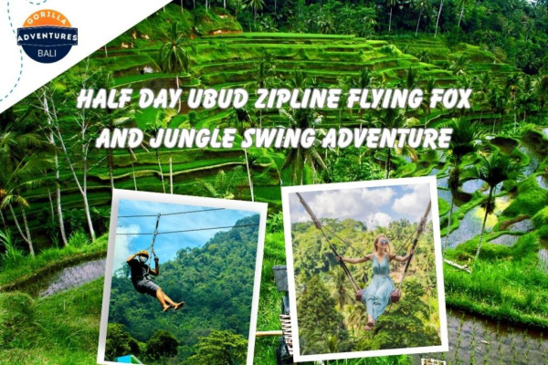 Ubud Half Day Adventure: Zipline, Rice Terrace, and Jungle Swing