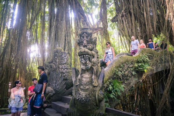 Ubud Half Day Tour