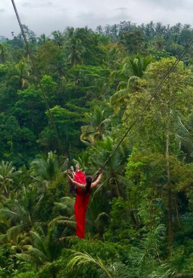 Ubud Jungle Swing & Waterfall - All Inclusive Tours