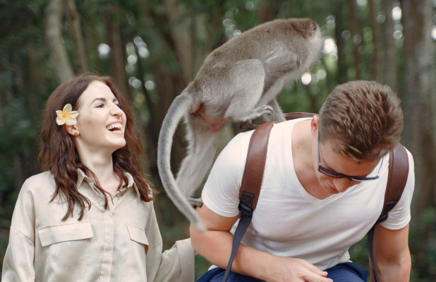 Ubud Monkey Forest and Elephant Sanctuary Tour