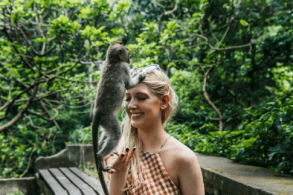 Ubud: Monkey Forest, Jungle Swing, Rice Terrace, and Water Temple