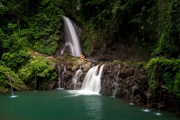 Ubud Nature & Waterfall Tour