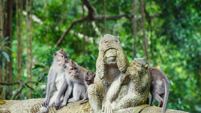 Ubud Private Day Tour