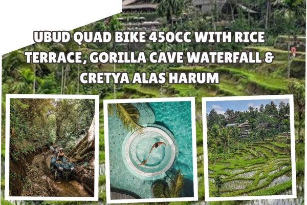 Ubud Quad Bike 450cc with Rice Terrace, Gorilla Cave Waterfall & Cretya Alas Harum