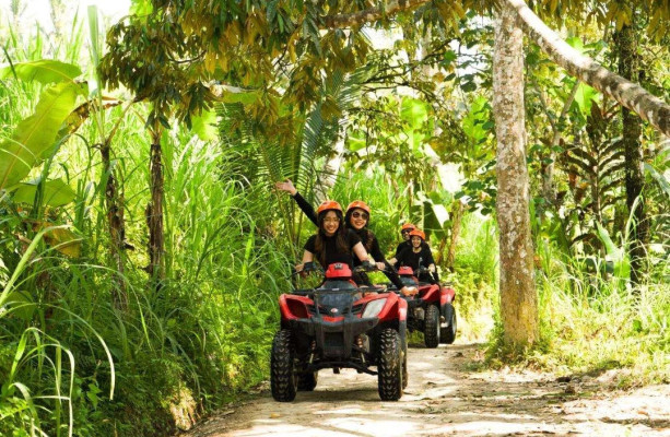 Ubud Quad Bike with Rice Terrace and Jungle Swing Experience