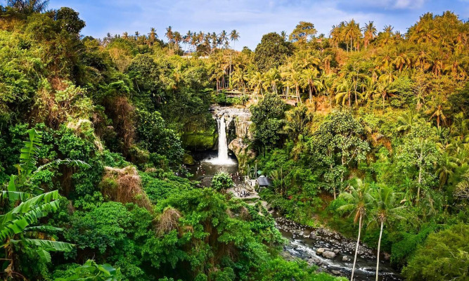 Ubud Scenic Escape