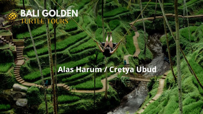 Ubud Tours ( East Bali)