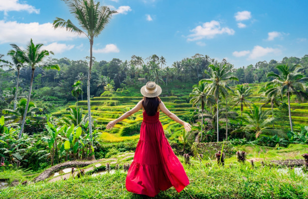 Ubud : Monkey forest, Tegalalang rice terrace, & Water Purification