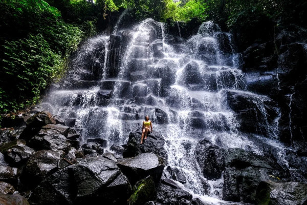 Ubud Waterfalls & Rice Terrace Tour