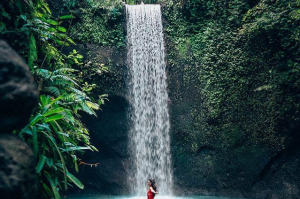 Ubud: Waterfalls, Water Temple & Rice Terraces Private Tour