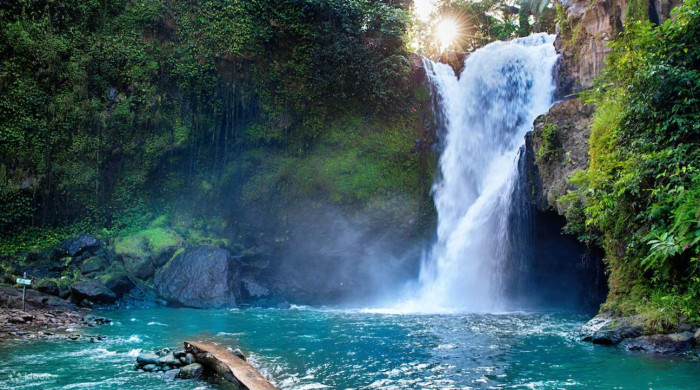 Ubud Wildlife Tour