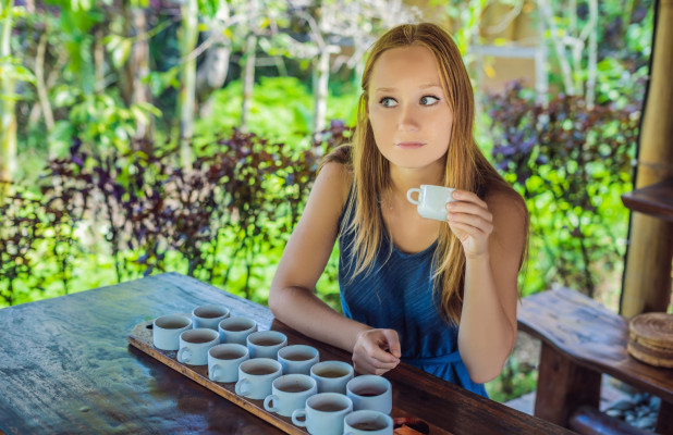 Ubud With Coffee Plantation Tour