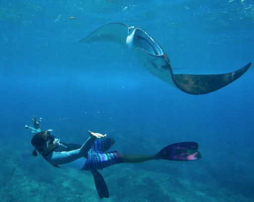 Underwater Photo Results