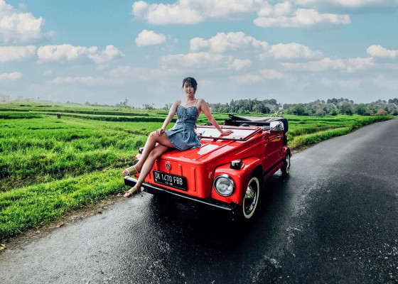VW Legend Safari Tours