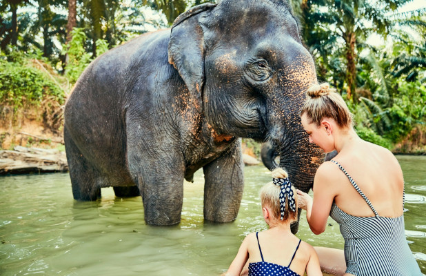 Wash the Elephant and Ubud Tour