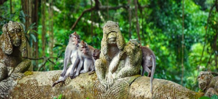 WEST BALI B : Monkey Forest, Wanagiri, Banyumala Waterfall