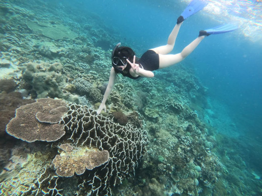 West Nusa Penida + Snorkeling Tour