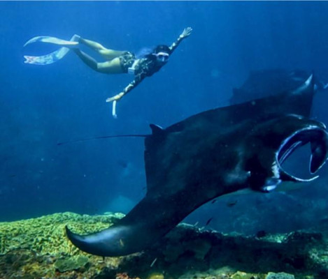 Without Shuttle: PACKAGE D SNORKELING DAY PACKAGE FROM LEMBONGAN TO NUSA PENIDA